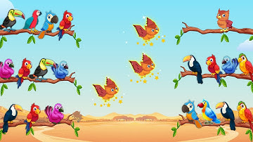 Bird Sort Color Puzzle Game 3D GamePlay 1 Players Junction | Deep Pocket Studio