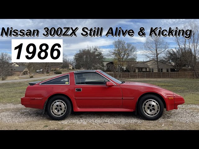 relaxing☆ 1986 300ZX Daily | Alive & Kicking | Young Person's
