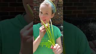 Dealing With The Abundance Eating Our Garden Weeds