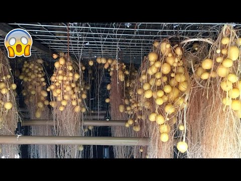 Vídeo: 3 maneiras de remover a tampa do ralo do banheiro