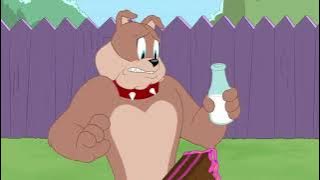 The Tom & Jerry Show   Season 5   All New Funny Episode   2021 NEW