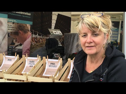 Video: Hvornår ville du bruge en gadealbue?