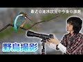 野鳥撮影の進捗状況~カワセミ撮影やそのために導入したサポート機材そして今後について~