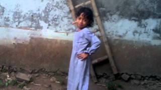 Download Lagu playboy versi si kecil tia MP3