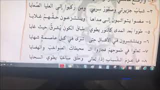 ترى في كل عاصمة شهابا