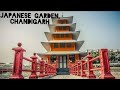 Japnese garden chandigarhsaroj stunt vlogviews viral viral