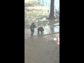 Mailman struguling in middle of the rain and flooding in NYC. Cartero lucha contra la lluvia  en NYC