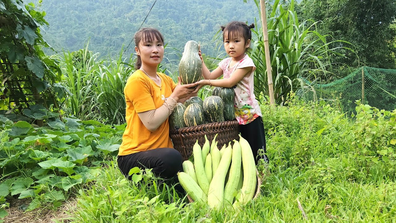 Harvest squash and melon with my daughter and bring it to the market to