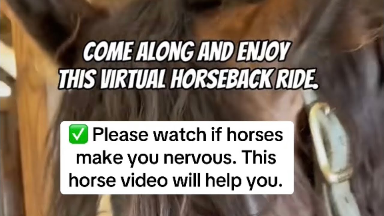 Image showcasing Are you ready for your virtual horseback riding lesson? # ...