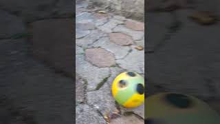 #smiley #ball #asmr #bounce #roll
