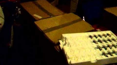 Bonsai RepStrap - A big lot of steppers