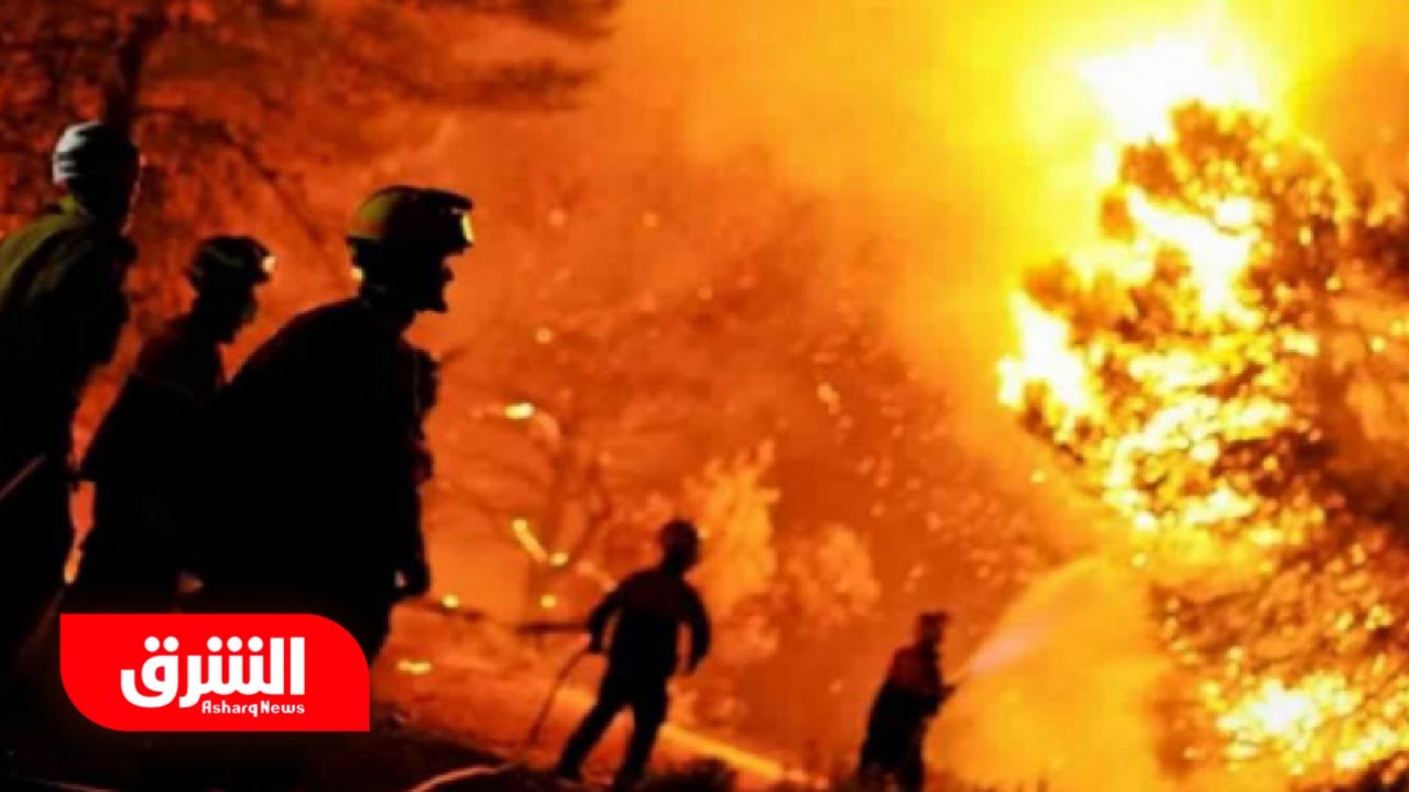 الجزائر تكافح النيران.. الحرائق تمتد لـ 16 ولاية وتحصد أرواح العشرات - أخبار الشرق