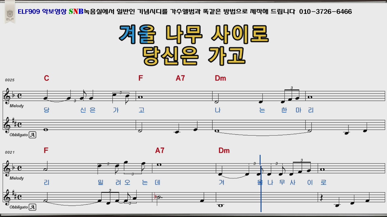 조용필 돌아오지않는강