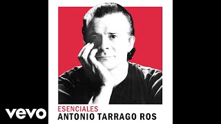 Video thumbnail of "Antonio Tarragó Ros - El Toro (Official Audio)"