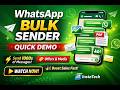 WhatsApp Bulk Message Software | Quick Demo 🚀