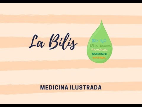 Vídeo: La bilirubina i la bilis són el mateix?