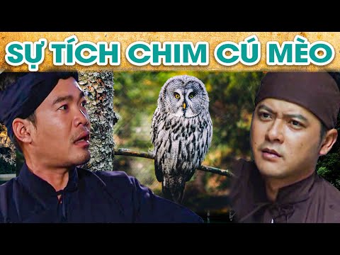 Video SỰ TÍCH CHIM CÚ MÈO | SỰ TÍCH VIỆT NAM MỚI NHẤT 2022 |... - youtube