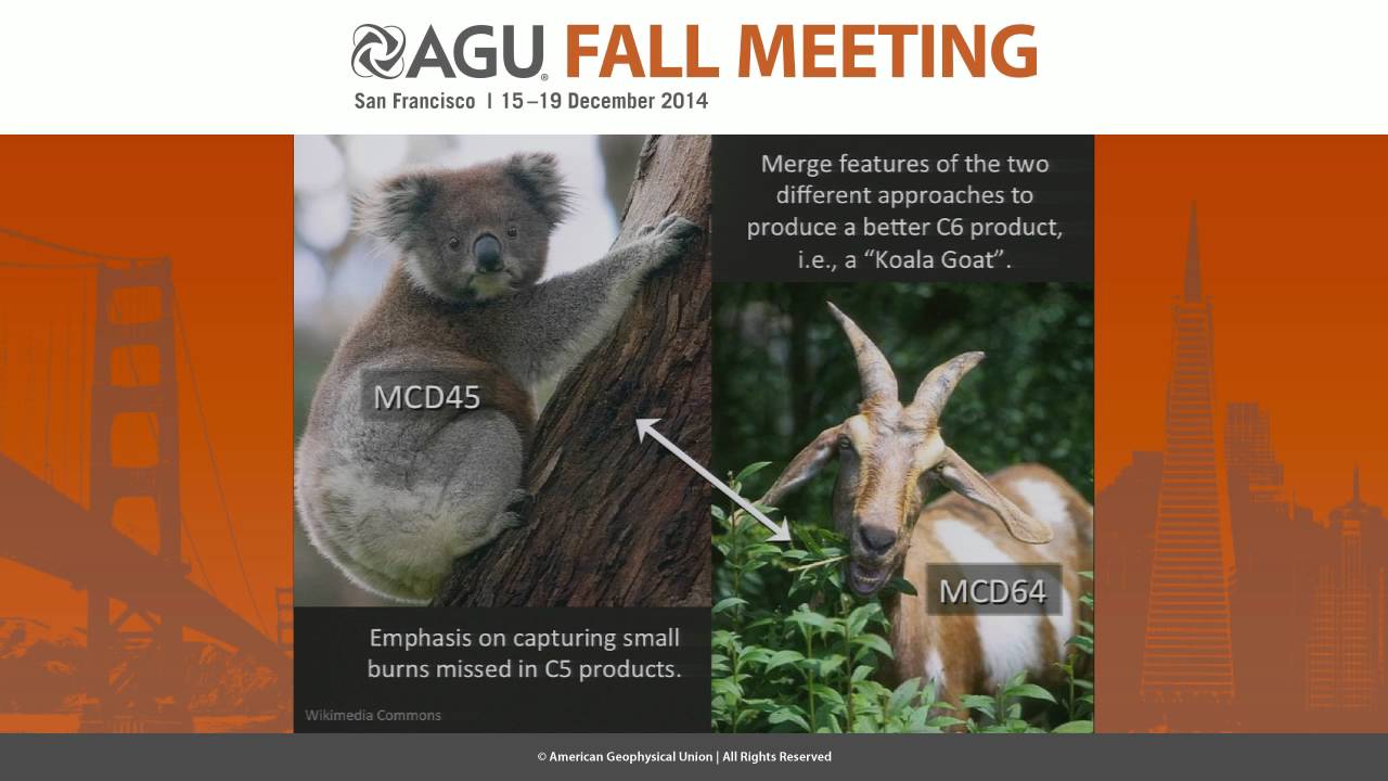 Recent Advances in Global and Regional Fire Monitoring with the Collection 6 MODIS Fire Products