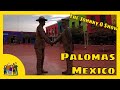 Ep. #108 Going to Mexico without a passport ~ Road Trip with Mom and Dad - Part 2