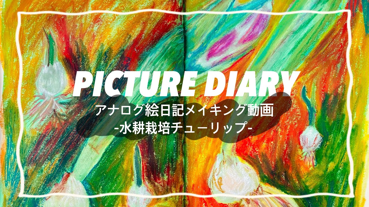 アナログ絵日記メイキング動画  -水耕栽培チューリップ-