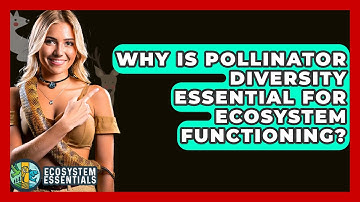 Why Is Pollinator Diversity Essential for Ecosystem Functioning? - Ecosystem Essentials
