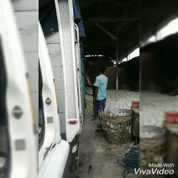 Kisah Cinta Seorang supir Truk