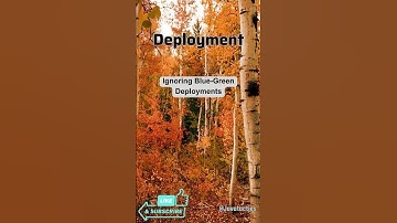 Java Backend Developer# 49