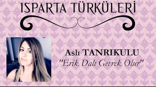 Erik Dalı Gevrek Olur - Aslı TANRIKULU \