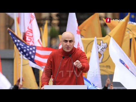 ოპოზიციის პოლიტიკური პარტნიორები და სამოქმედო გეგმა