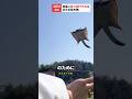 空にびゅーんと飛ばされて遊ぶ小さな生き物