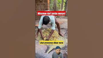 Thumbnail of Proses membuatan minuman dari jambu mete #streetfood #makananindia #fermentasi