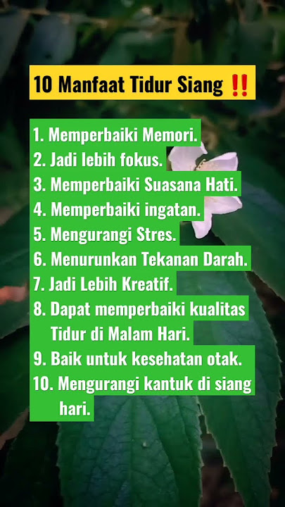 10 Manfaat tidur siang #shorts #storywa #informasi #tips