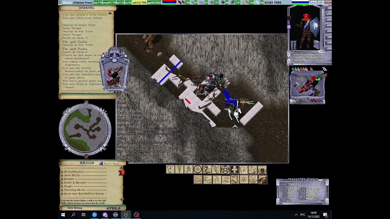 Ultima Online PvP Dungeon Covetous&Boss Arachnidia Lloth YouTube