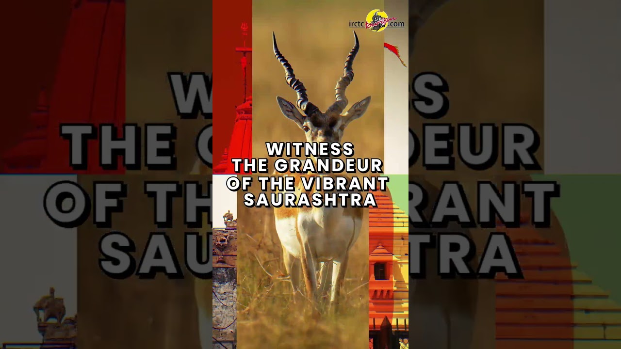 Saurashtra Splendor: Exploring the Vibrant WMA65 Journey || IRCTC Tourism  || IRCTC