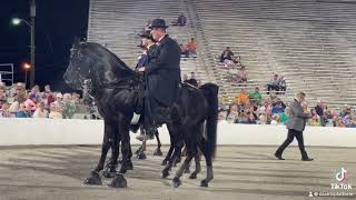 Tennessee Walking Horse Celebration 2024 Thursday night #shelbyville August 30 2024 #rhbaa #johndash