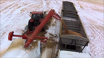 Loading wheat out of a bag