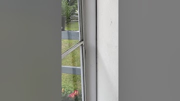 Silvoza’s World - Algorithmic Boost Request - 2000000 #YTBoostRequest