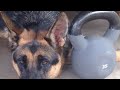 Who Is TACSHEP ACTUAL &amp; Why  A YouTube Channel