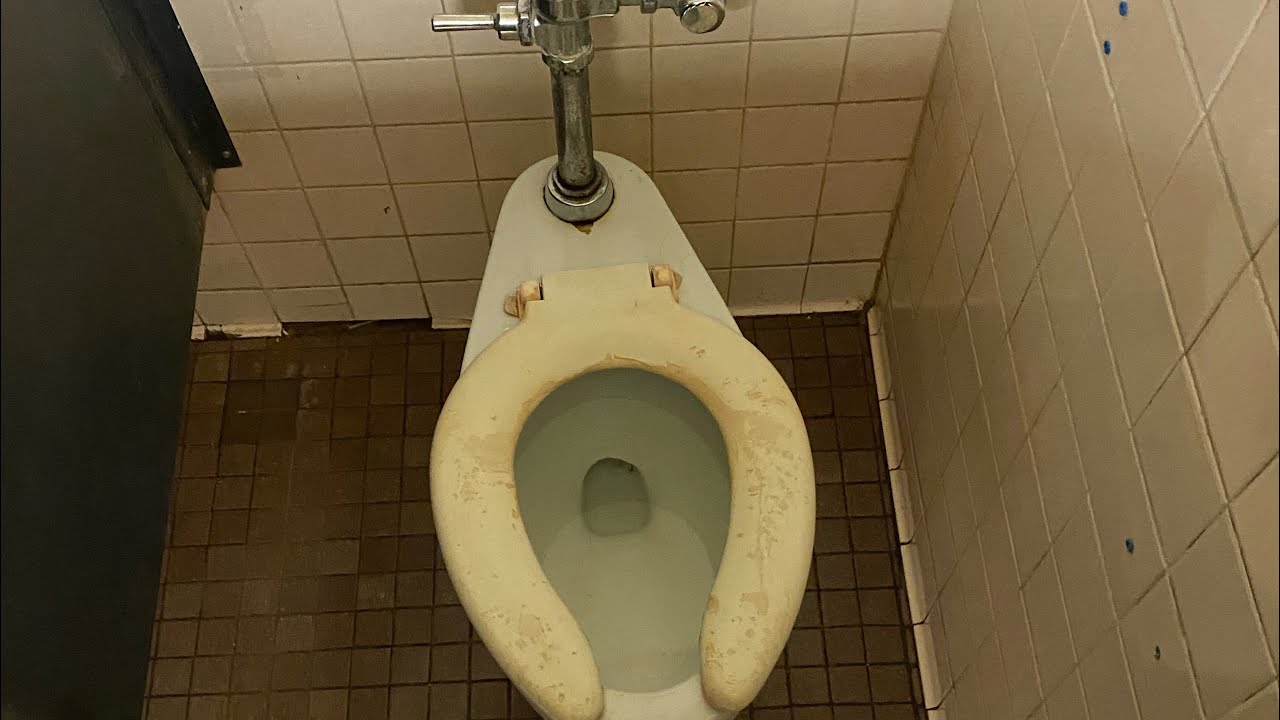 Powerful Flushing Crane Hymont Toilet! YouTube