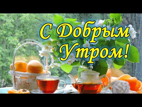 Видео: C добрым утром ! И хорошего дня