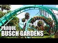 BUSCH GARDENS | AS MELHORES MONTANHAS RUSSAS - ORLANDO