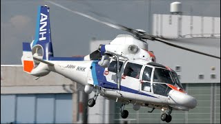 オールニッポンヘリコプター　AS365N　ユーロコプター オールニッポンヘリコプター Eurocopter AS365/565 Dauphin 2