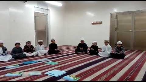 سورة البلد كاملة