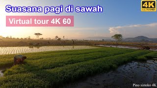 Bahagia melihat suasana sawah di pagi hari, petani sedang bekerja - Virtual tour 4K 60fps