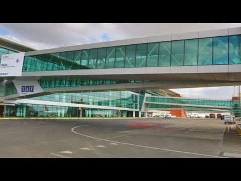 ვიდეო: ნეშვილის საერთაშორისო აეროპორტის გზამკვლევი