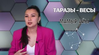 ТАРАЗЫ / ВЕСЫ!  МАМЫР  айына ЖҰЛДЫЗНАМА 2024