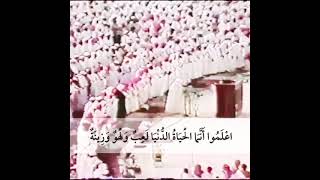 من نوادر الشيخ علي جابر حالات واتس