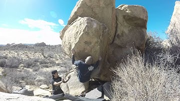 Mulligan Variation v8 - Joshua Tree (Echo Cove)