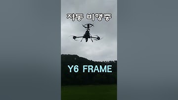 자동 비행 하는 자작 Y6 frame 드론 (Pixhawk4 Y6 Auto Hovering)