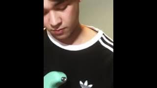 Punchnello (doodle) - Guitar Cover